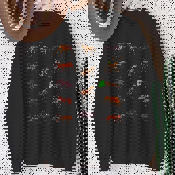 多くの種類のアリ スウェットシャツ 年配の女性への贈り物