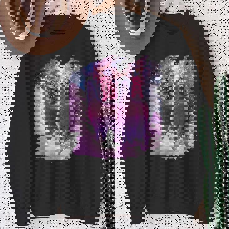 宇宙で虹色のラマに乗る子猫 スウェットシャツ 年配の女性への贈り物