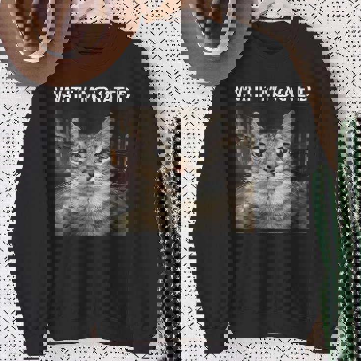 待ってよヤギの愚かな猫のミーム スウェットシャツ 年配の女性への贈り物