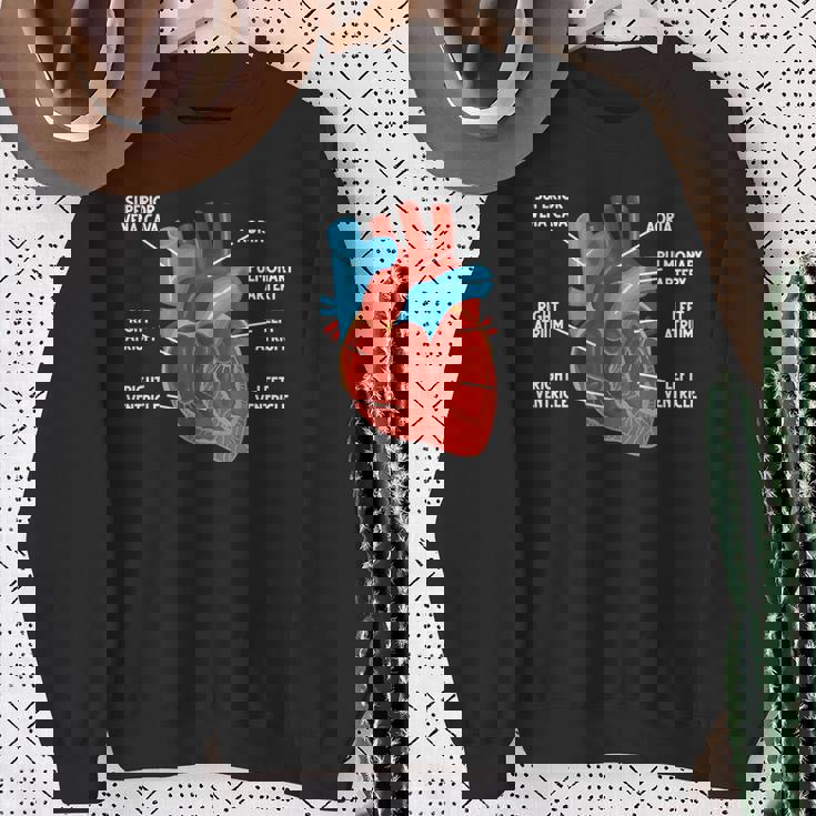 心臓解剖学教育 循環器学 スウェットシャツ 年配の女性への贈り物