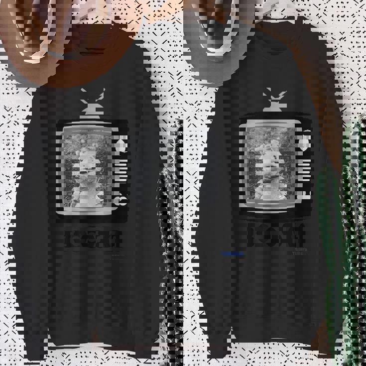 快獣ブースカシリーズ Tvレトロ01 スウェットシャツ 年配の女性への贈り物