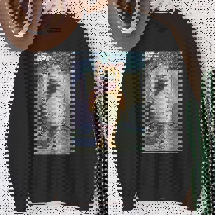 快獣ブースカシリーズ リアルスチール カラー スウェットシャツ 年配の女性への贈り物