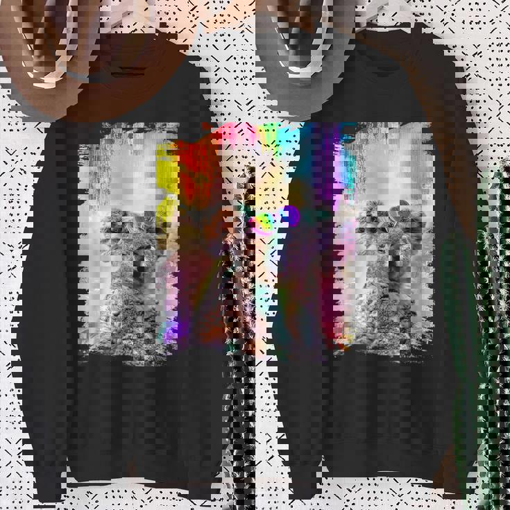 愛のハートのメガネをかけているレインボーコアラ スウェットシャツ 年配の女性への贈り物