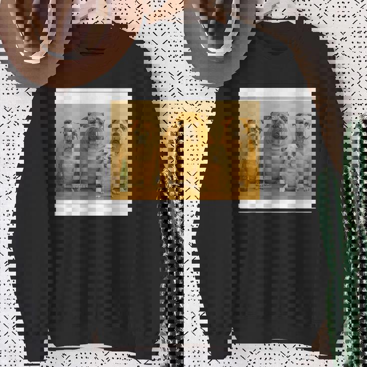 日本ブルドッグファミリー スウェットシャツ 年配の女性への贈り物