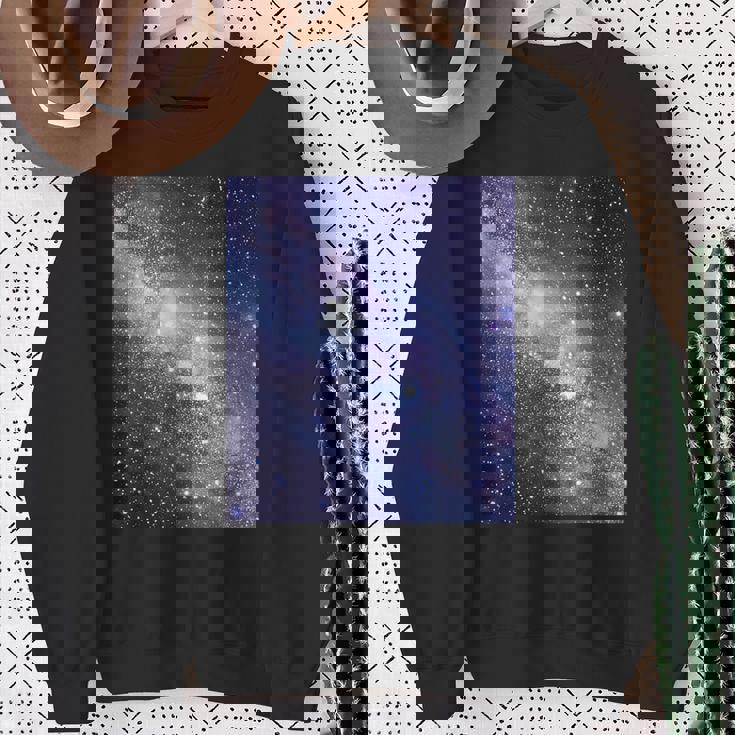 星空・宇宙・銀河《フルビッグプリント》【天体観測シリーズ】おしゃれ かっこいい デザイン スウェットシャツ 年配の女性への贈り物