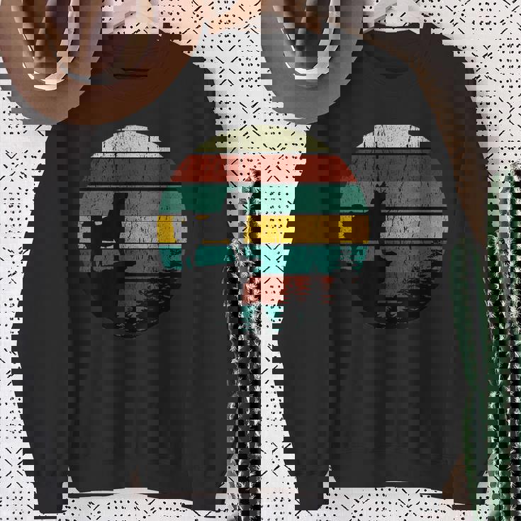 柴犬 グッズ 柴犬 犬ヴィンテージhiba Inu 柴犬 スウェットシャツ 年配の女性への贈り物