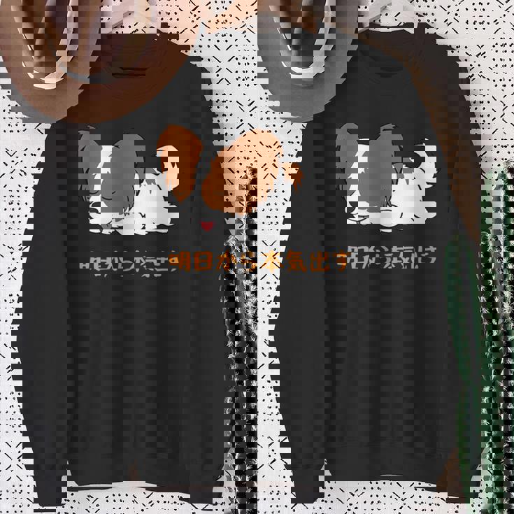 犬 おもしろ 明日から本気出す 可愛い パピヨン トイ スパニエル ファレーヌ スウェットシャツ 年配の女性への贈り物