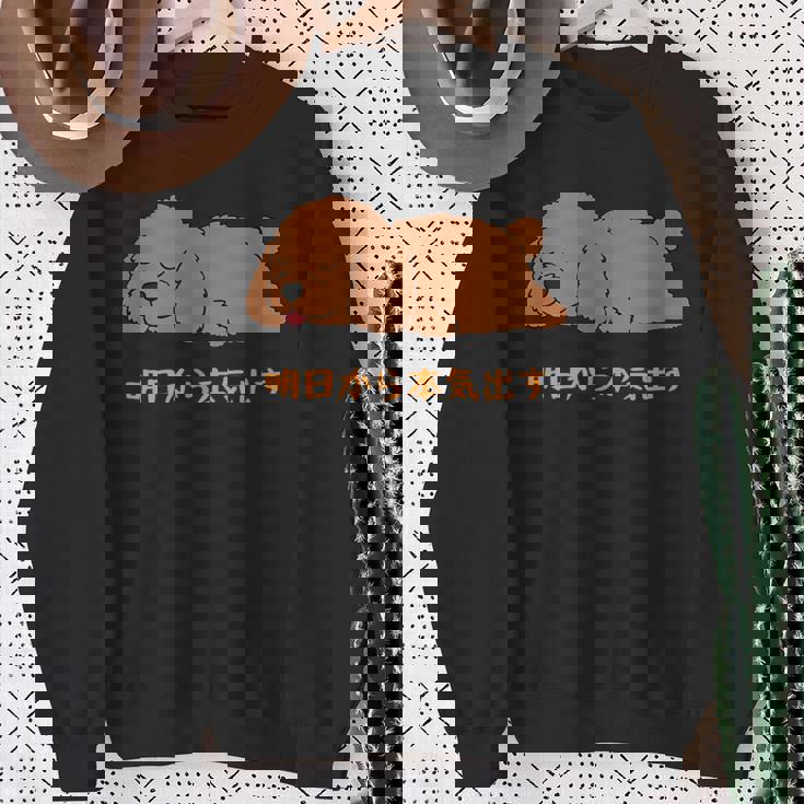 犬 おもしろ 明日から本気出す 可愛い プードル トイプードル かわいい イヌ スウェットシャツ 年配の女性への贈り物