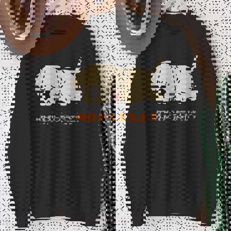 犬 おもしろ 明日から本気出す 可愛い ラブラドールレトリバー スウェットシャツ 年配の女性への贈り物