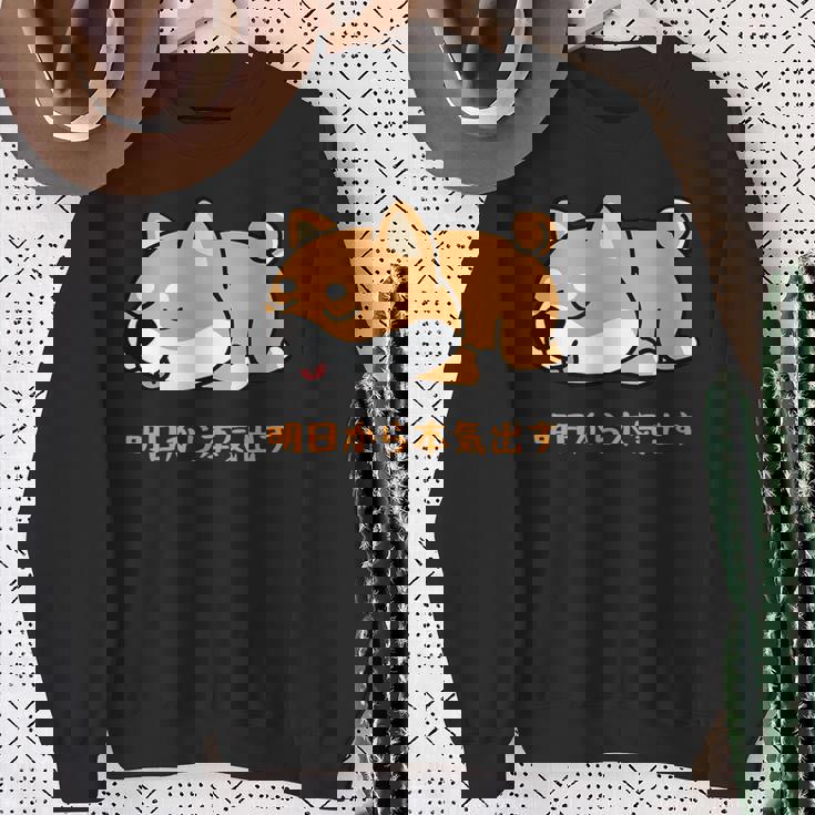 犬 おもしろ 明日から本気出す 可愛い 柴犬 シバイヌ 豆柴 マメシバ 小豆柴 スウェットシャツ 年配の女性への贈り物