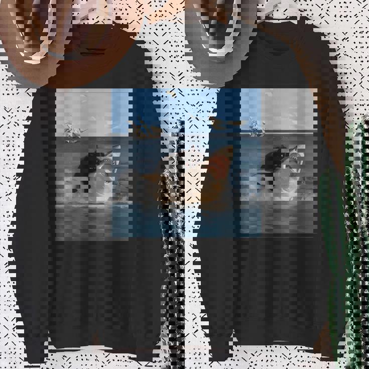 猫を噛むサメの面白いアートと猫好きの面白い猫とサメ。 スウェットシャツ 年配の女性への贈り物