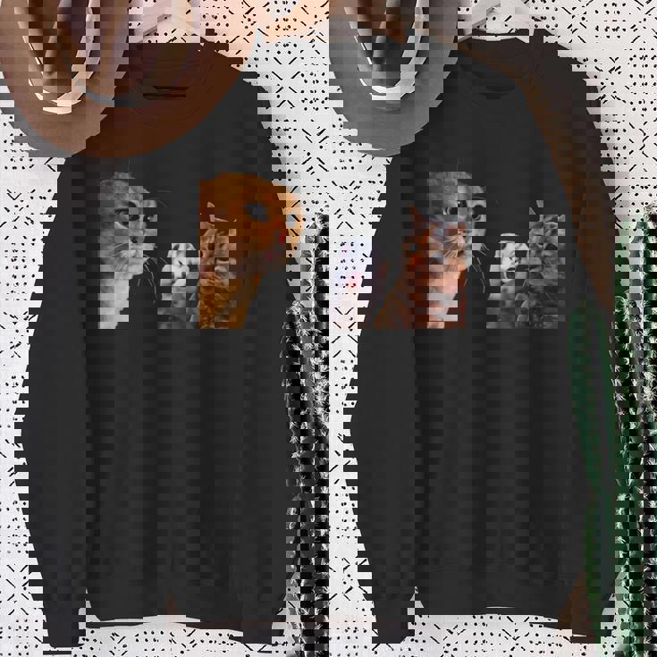 猫ミーム 説教する猫 怒られる猫 泣き叫ぶ猫 説教 怒る かわいい 面白い 人気 楽しい ハッピー スウェットシャツ 年配の女性への贈り物