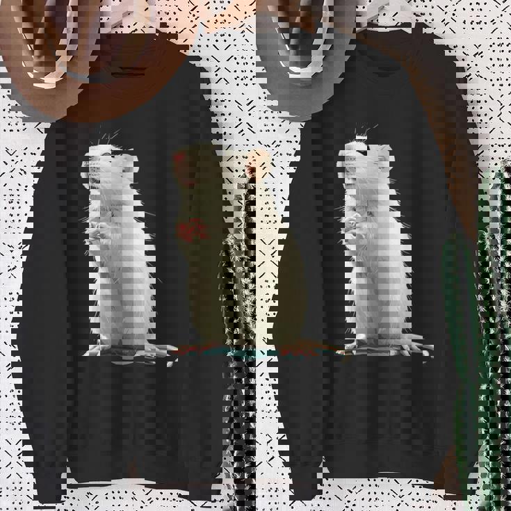 白いネズミが好きな人のための面白い見た目の白いネズミ スウェットシャツ 年配の女性への贈り物