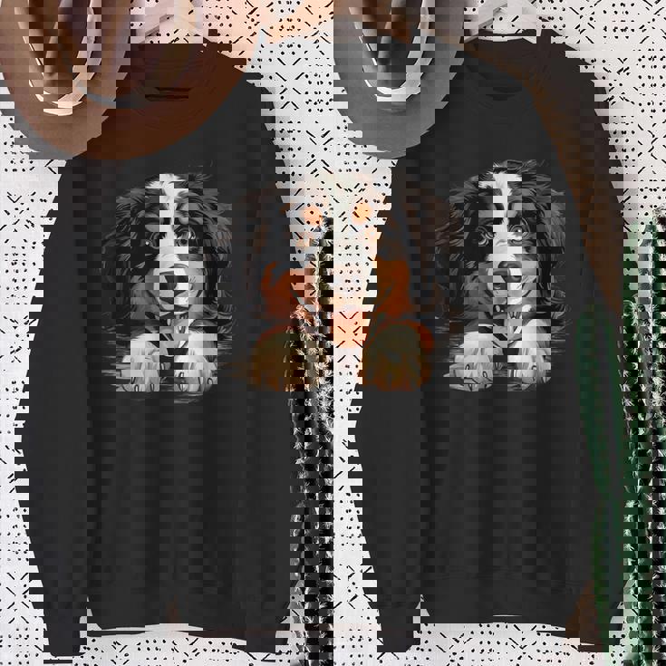 素敵で面白い覗き見犬 バーニーズマウンテンドッグ スウェットシャツ 年配の女性への贈り物