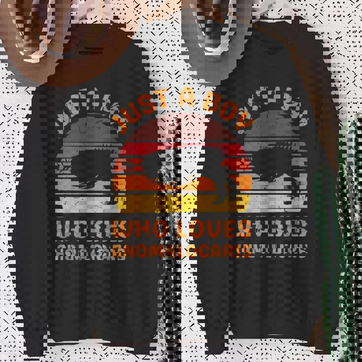 絶滅した節足動物アノマロカリスが大好きなただの少年 スウェットシャツ 年配の女性への贈り物