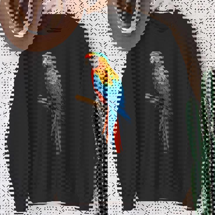 美しいオウム スウェットシャツ 年配の女性への贈り物