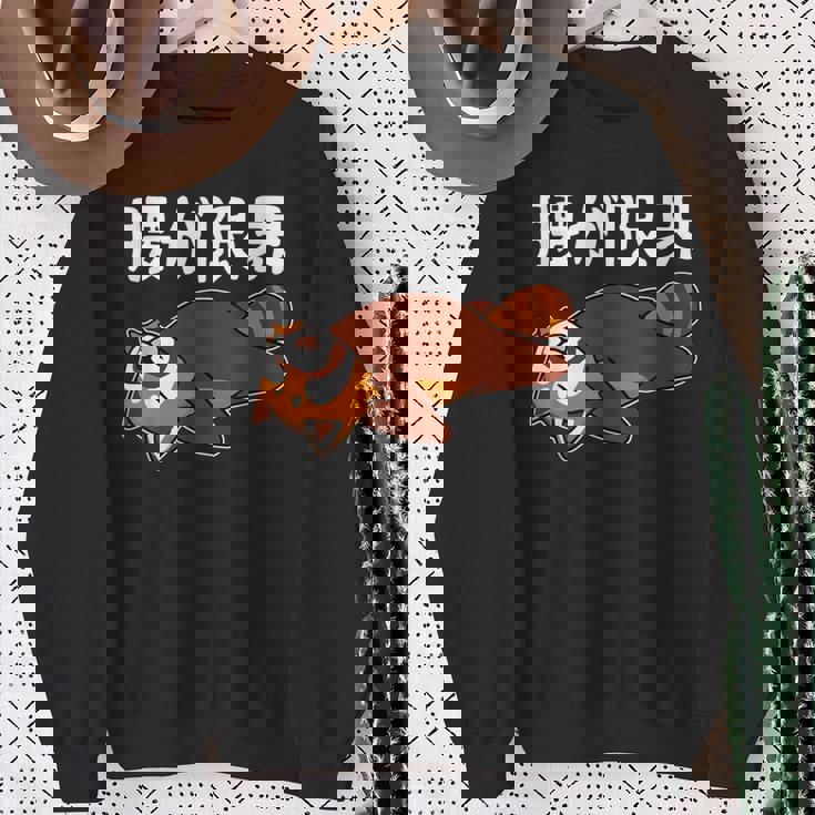 腰が限界 柴犬 面白いtシャツ 文字入り メンズ おもしろ 面白い 服 オリジナル おもしろグッズ 文字 スウェットシャツ 年配の女性への贈り物