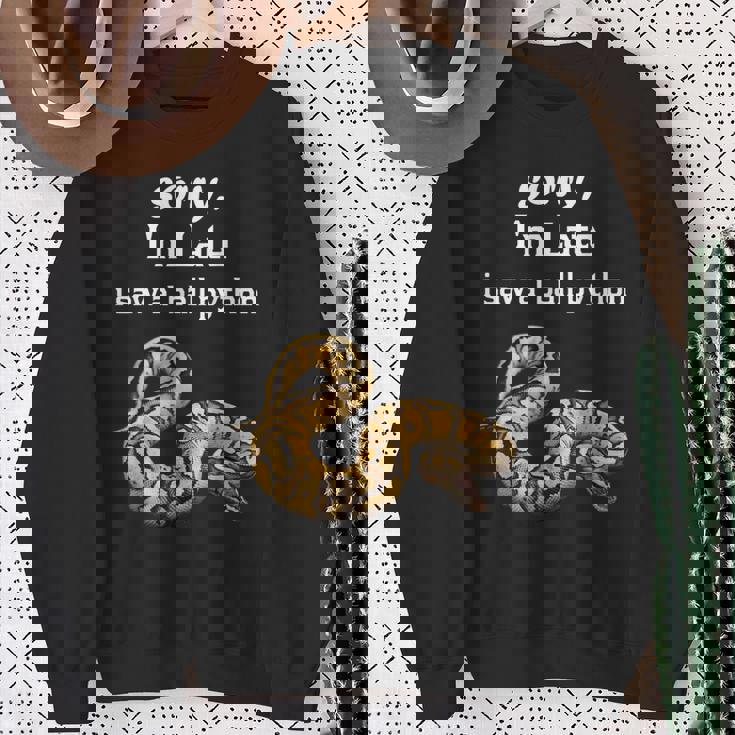 遅くなってごめんなさい、ボールパイソン面白いボールパイソンを見ました スウェットシャツ 年配の女性への贈り物