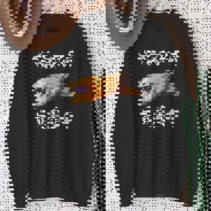 面白いtシャツ ゴールデンレトリバー やる気スイッチ イヌ メンズ グッズ おもしろ 面白い 服 ネタ スウェットシャツ 年配の女性への贈り物