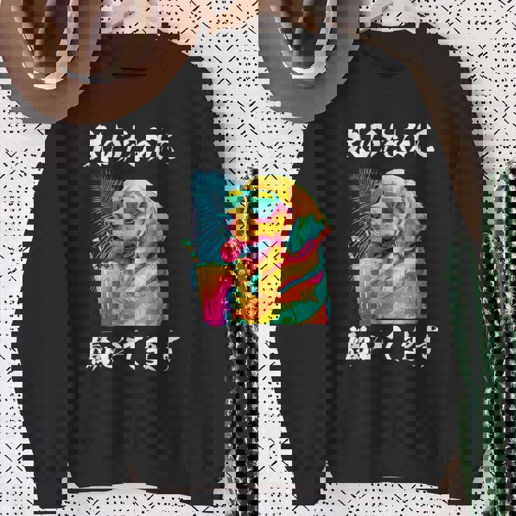 面白いtシャツ ゴールデンレトリバー イヌ わんこ メンズ 犬好き グッズ おもしろ 面白い 服 ネタ スウェットシャツ 年配の女性への贈り物