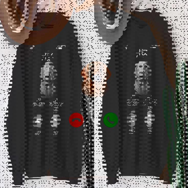 面白いtシャツ ゴールデンレトリバー 着信 犬 イヌ メンズ グッズ かわいい おもしろ 面白い 服 ネタ スウェットシャツ 年配の女性への贈り物