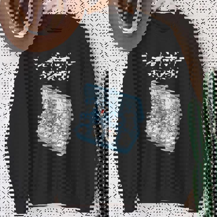 面白いtシャツ シュナウザー お薬 イヌ メンズ 犬好き グッズ かわいい おもしろ 面白い 服 ネタ 犬 スウェットシャツ 年配の女性への贈り物