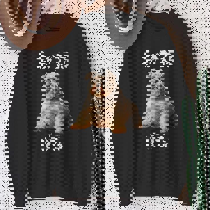 面白いtシャツ シュナウザー わがままボディ イヌ 犬 メンズ 犬好き グッズ おもしろ 面白い 服 ネタ スウェットシャツ 年配の女性への贈り物