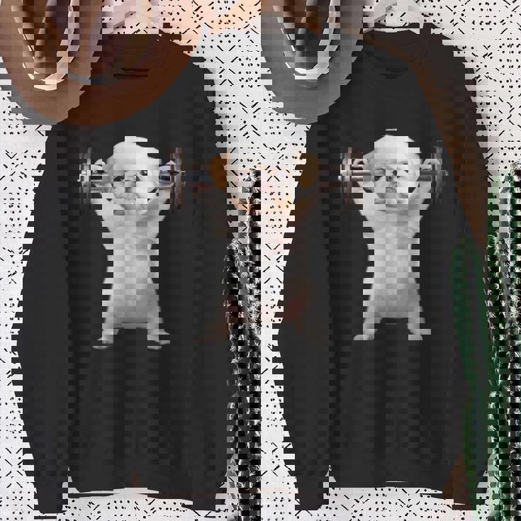 面白いtシャツ シーズー 犬 イヌ わんこ メンズ 犬好き グッズ かわいい 面白い 服 ネタ 筋トレ スウェットシャツ 年配の女性への贈り物