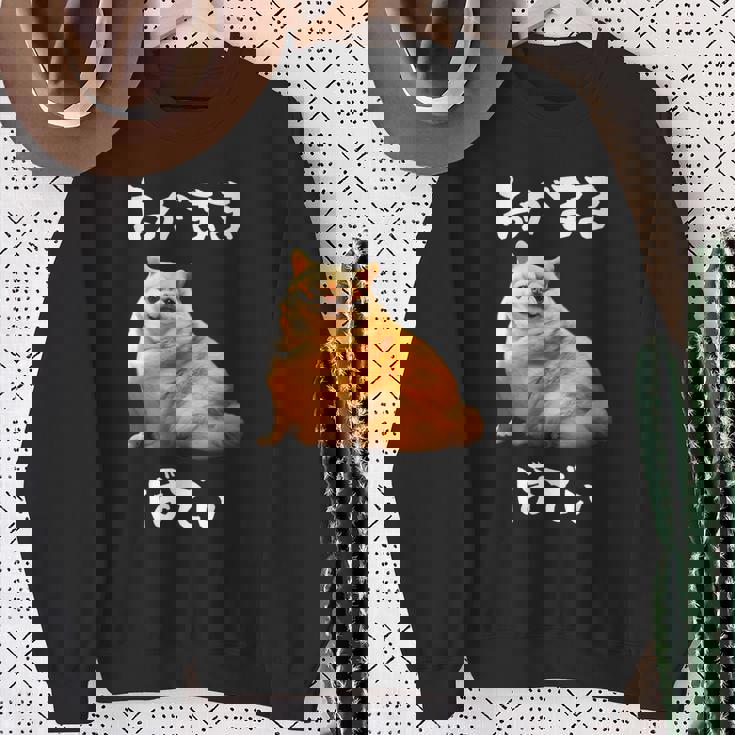 面白いtシャツ チワワ わがままボディ イヌ 犬 わんこ メンズ 犬好き グッズ おもしろ 面白い 服 ネタ スウェットシャツ 年配の女性への贈り物