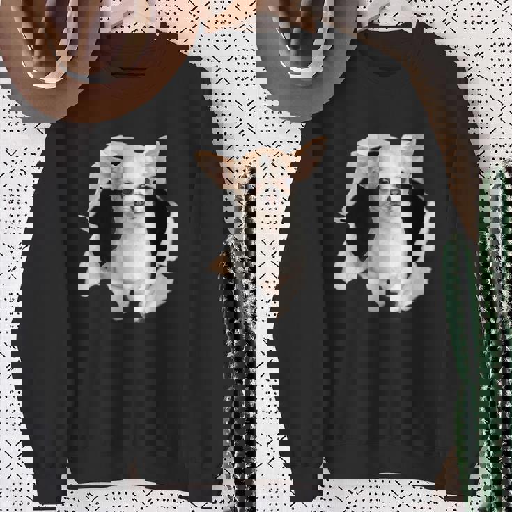 面白いtシャツ チワワ 犬 イヌ わんこ メンズ 犬好き グッズ かわいい おもしろ 面白い 服 ネタ スウェットシャツ 年配の女性への贈り物