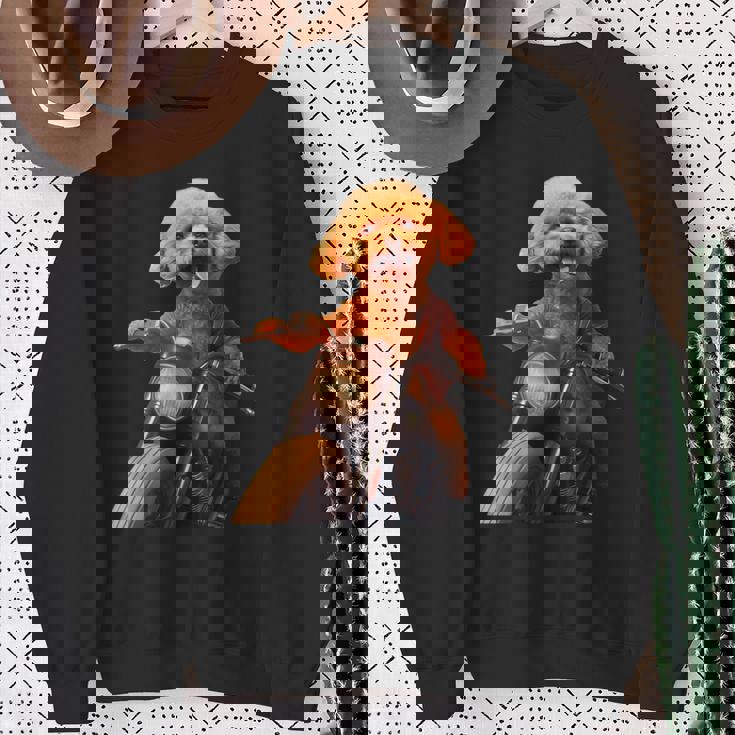 面白いtシャツ トイプードル バイク イヌ メンズ 犬好き グッズ かわいい おもしろ 面白い 服 ネタ スウェットシャツ 年配の女性への贈り物