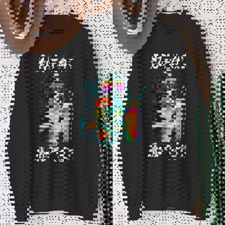 面白いtシャツ バーニーズマウンテンドッグ イヌ わんこ メンズ 犬好き グッズ おもしろ 面白い 服 ネタ スウェットシャツ 年配の女性への贈り物