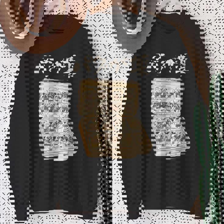 面白いtシャツ パグ 犬 お薬 イヌ わんこ メンズ 犬好き グッズ かわいい おもしろ 面白い 服 ネタ スウェットシャツ 年配の女性への贈り物