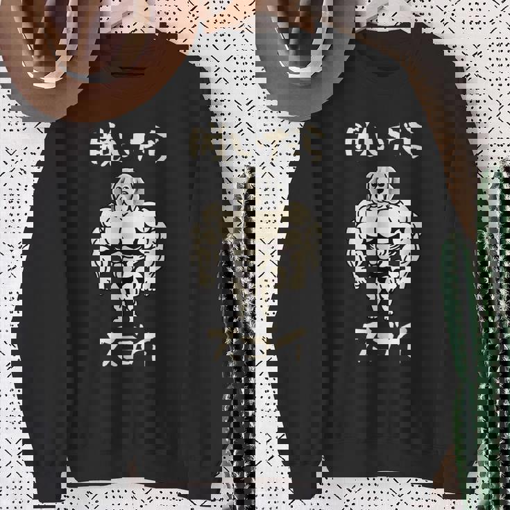 面白いtシャツ ビーグル 筋トレ 犬 イヌ わんこ メンズ 犬好き グッズ かわいい 面白い 服 ネタ スウェットシャツ 年配の女性への贈り物