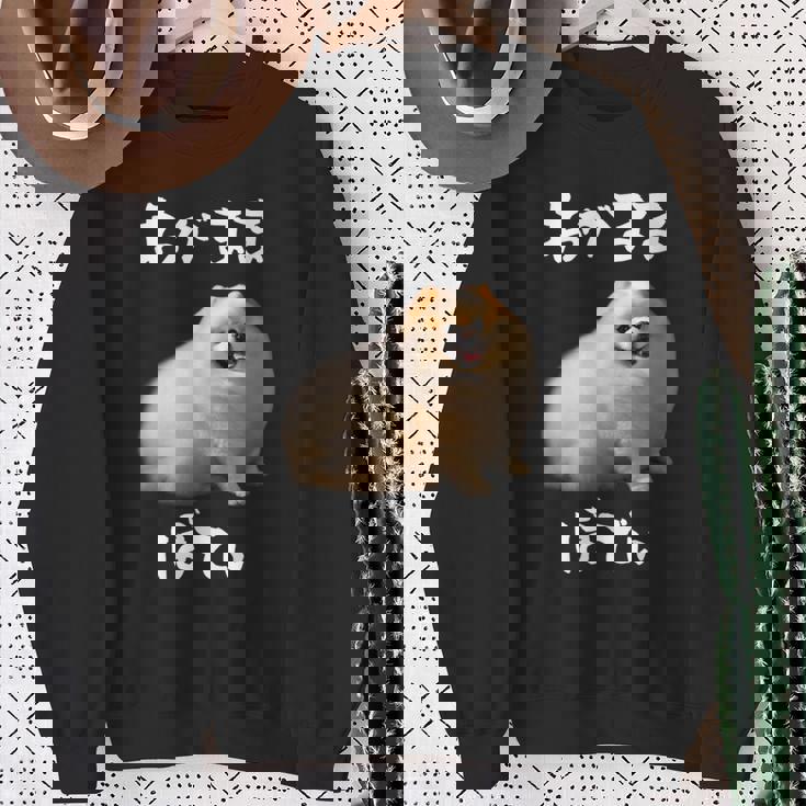 面白いtシャツ ポメラニアン わがままボディ イヌ 犬 メンズ 犬好き グッズ おもしろ 面白い 服 ネタ スウェットシャツ 年配の女性への贈り物