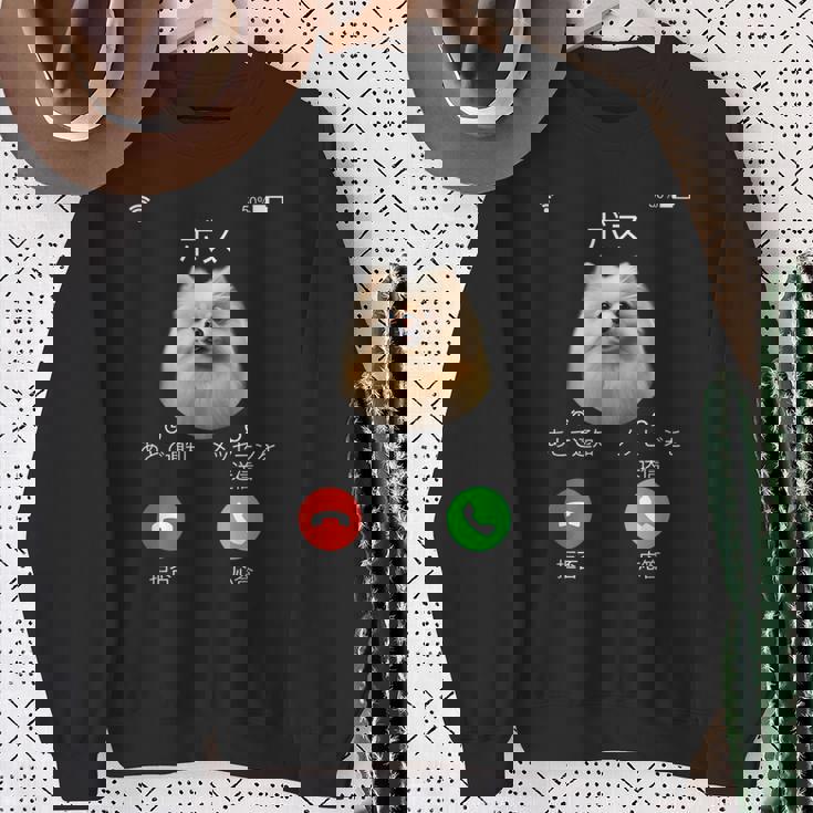 面白いtシャツ ポメラニアン 着信 犬 イヌ メンズ グッズ かわいい おもしろ 面白い 服 ネタ わんこ スウェットシャツ 年配の女性への贈り物