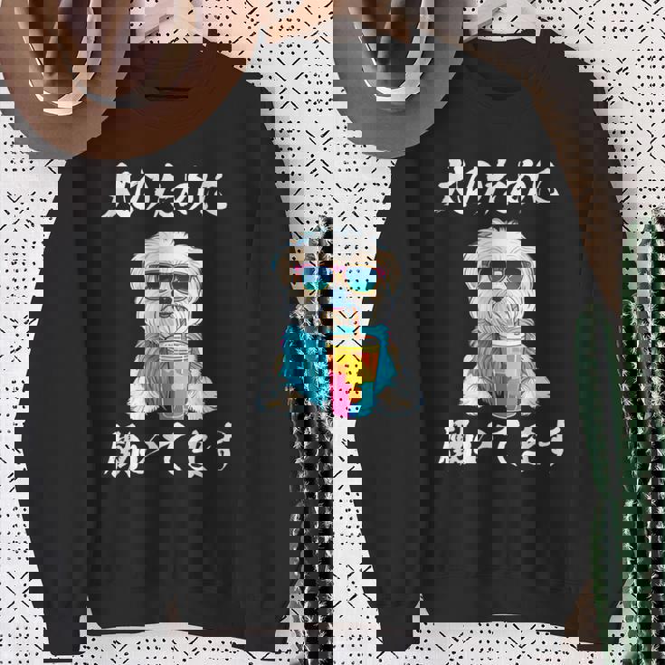 面白いtシャツ マルチーズ 犬 イヌ わんこ メンズ 犬好き グッズ おもしろ 面白い 服 ネタ わんこ スウェットシャツ 年配の女性への贈り物