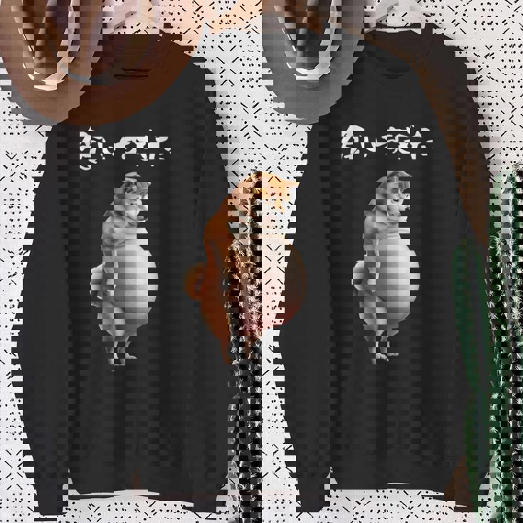 面白いtシャツ 柴犬 わがままボディ イヌ わんこ メンズ 犬好き グッズ おもしろ 面白い 服 ネタ スウェットシャツ 年配の女性への贈り物