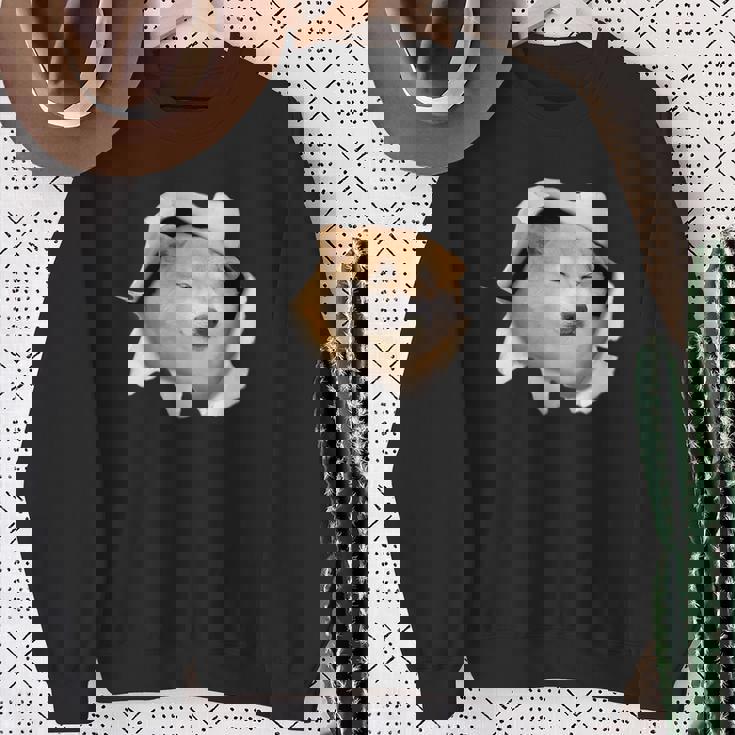 面白いtシャツ 柴犬 シバイヌ 犬 イヌ わんこ メンズ 犬好き グッズ かわいい 面白い 服 ネタ スウェットシャツ 年配の女性への贈り物