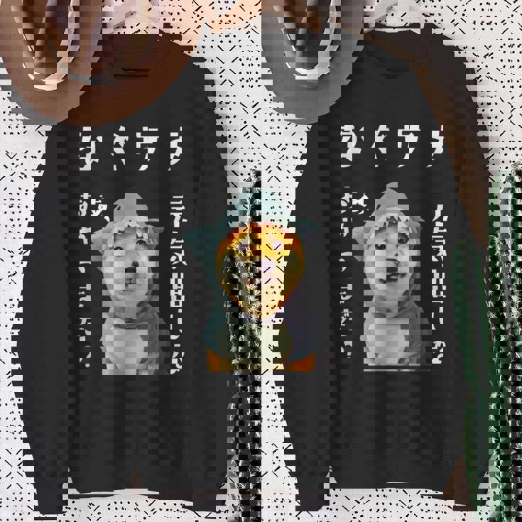 面白いtシャツ 柴犬 犬 イヌ なぐさめ サメ メンズ 犬好き グッズ かわいい おもしろ 面白い 服 ネタ スウェットシャツ 年配の女性への贈り物