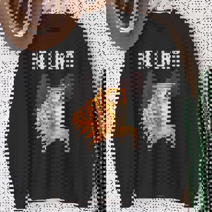 面白いtシャツ 柴犬 犬 イヌ わんこ メンズ 犬好き グッズ かわいい 面白い 服 ネタ 筋トレ スウェットシャツ 年配の女性への贈り物