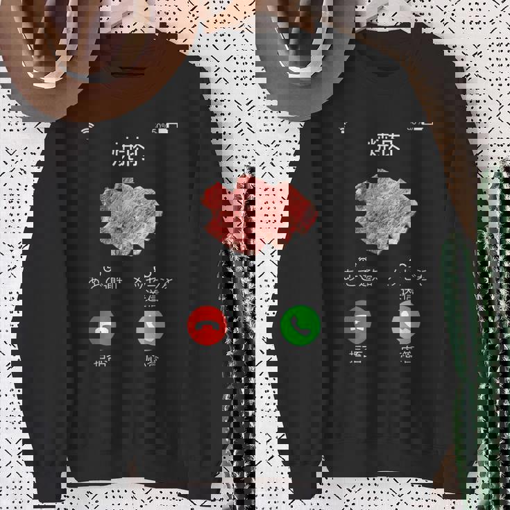 面白いtシャツ 焼肉 肉 着信 文字入り メンズ おもしろ 面白い 服 おもしろグッズ 文字tシャツ ネタ バーベキュー スウェットシャツ 年配の女性への贈り物