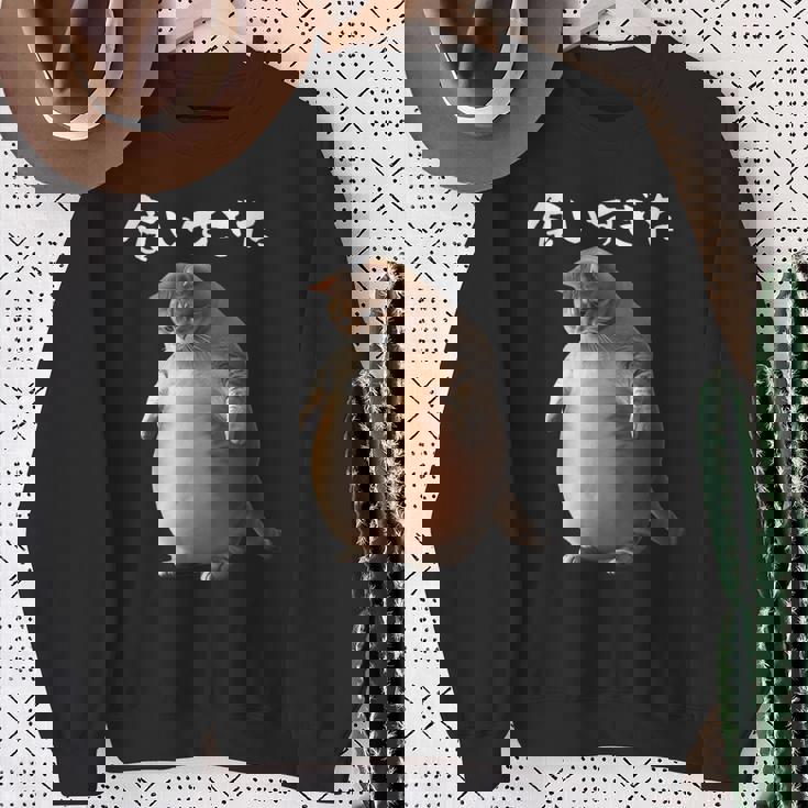 面白いtシャツ 猫 ネコ メンズ 猫好き グッズ おもしろ 面白い 服 ネタ にゃんこ 猫の下僕 ダイエット スウェットシャツ 年配の女性への贈り物