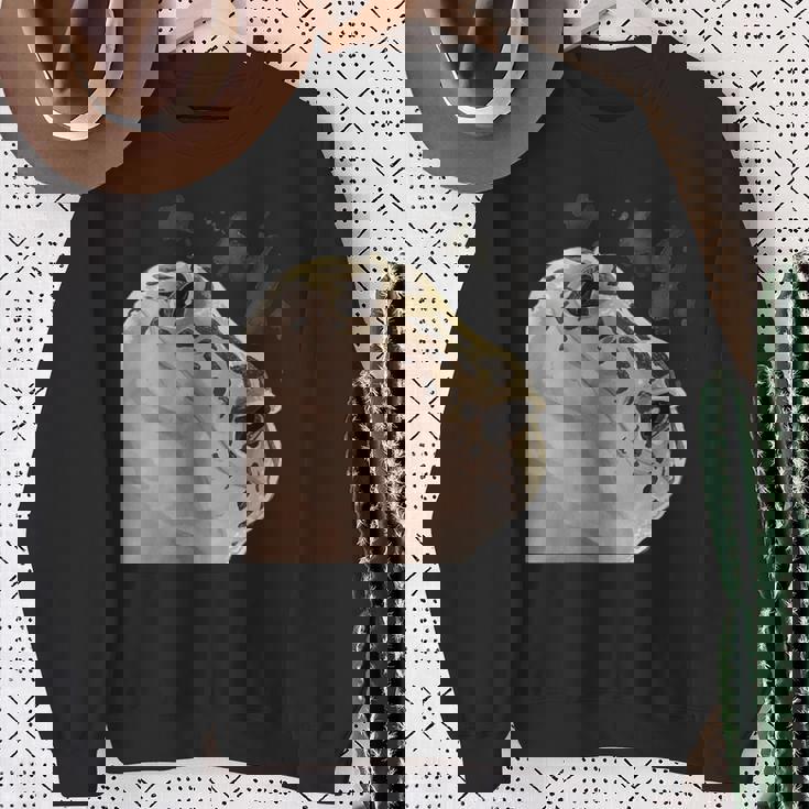 面白い好奇心が強い爬虫類ヒョウモントカゲモドキ スウェットシャツ 年配の女性への贈り物