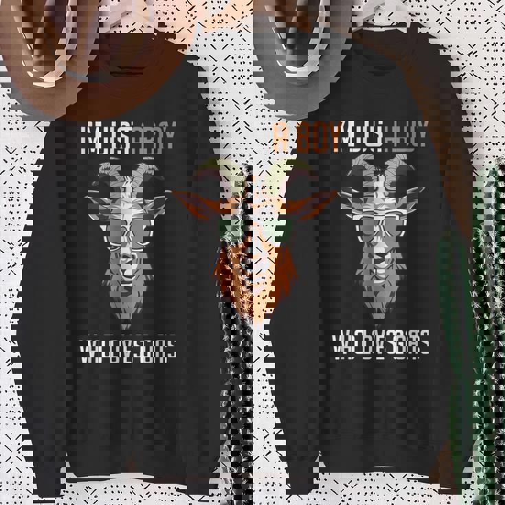 面白い農場の動物 ヤギ好き ただの少年 ヤギが大好きな人 スウェットシャツ 年配の女性への贈り物