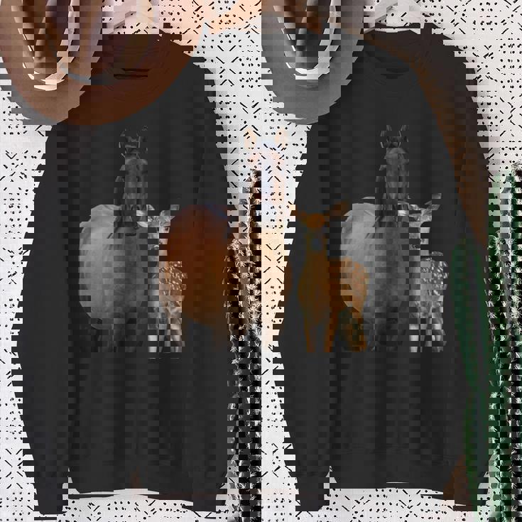 馬 鹿 面白いtシャツ バカ メンズ おもしろ 面白い 服 オリジナル おもしろグッズ ネタ 動物 ウマ シカ スウェットシャツ 年配の女性への贈り物