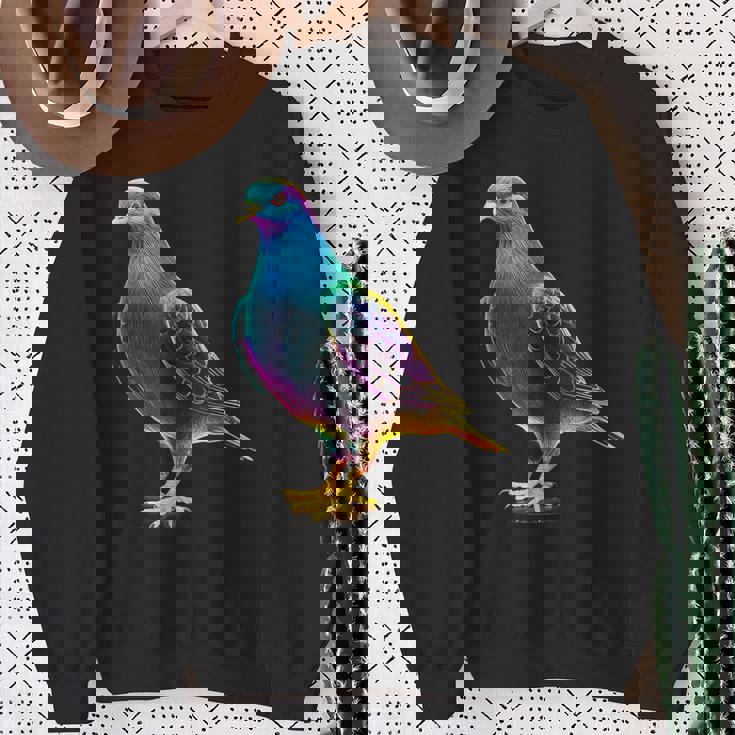 鳩 カラフル 動物 動物園 アートワーク 鳩 スウェットシャツ 年配の女性への贈り物