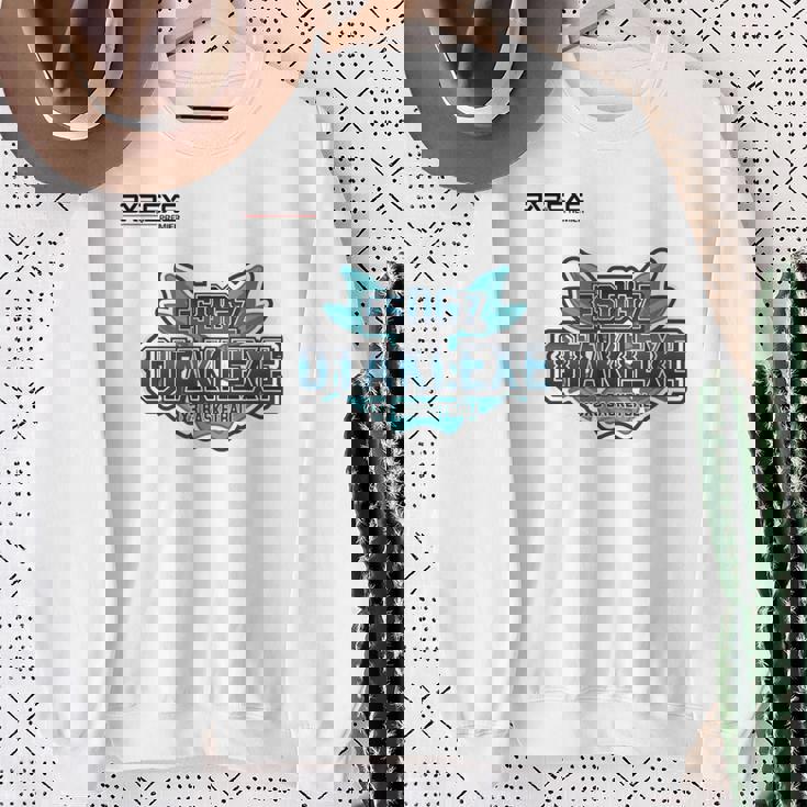 Esdgz OtakiExe_17_大橋胤 スウェットシャツ 年配の女性への贈り物