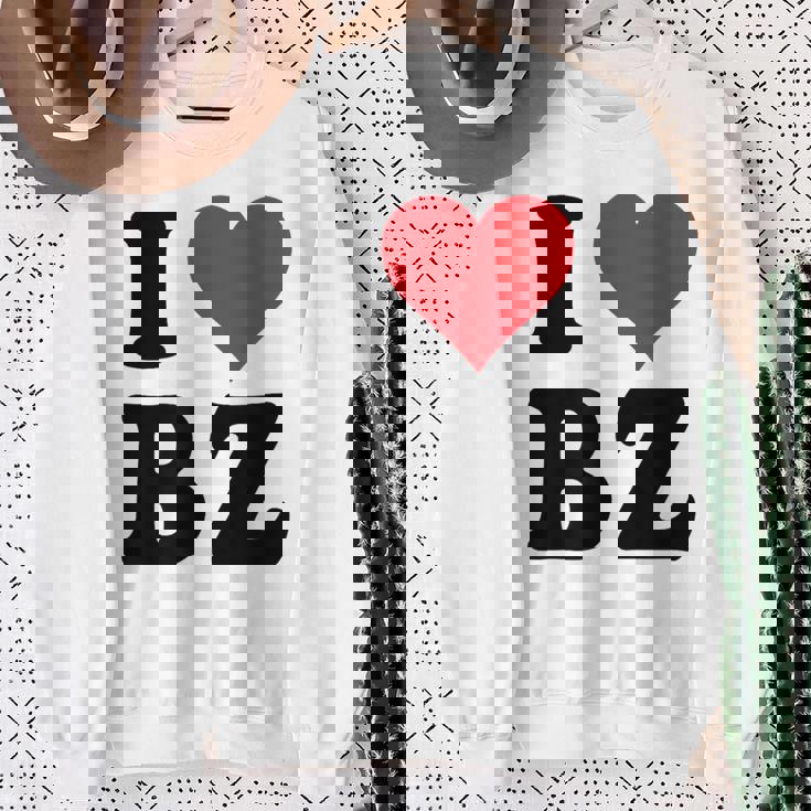 I Heart Bz イニシャル I Love BZ 姓 B Z スウェットシャツ 年配の女性への贈り物