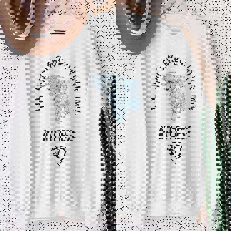 I'm Notingle I Have My Maltesealentines マルチーズ犬 スウェットシャツ 年配の女性への贈り物